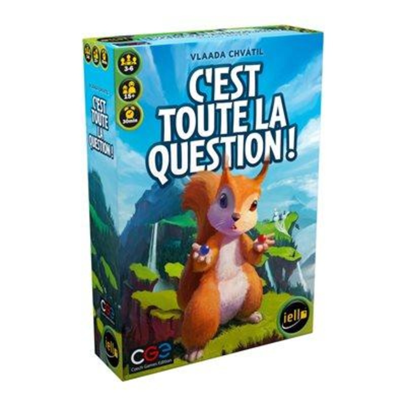 C'est toute la question (Fr)