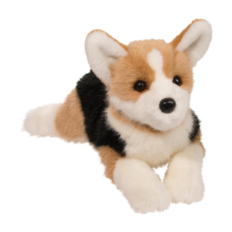 Chien Corgi Konner