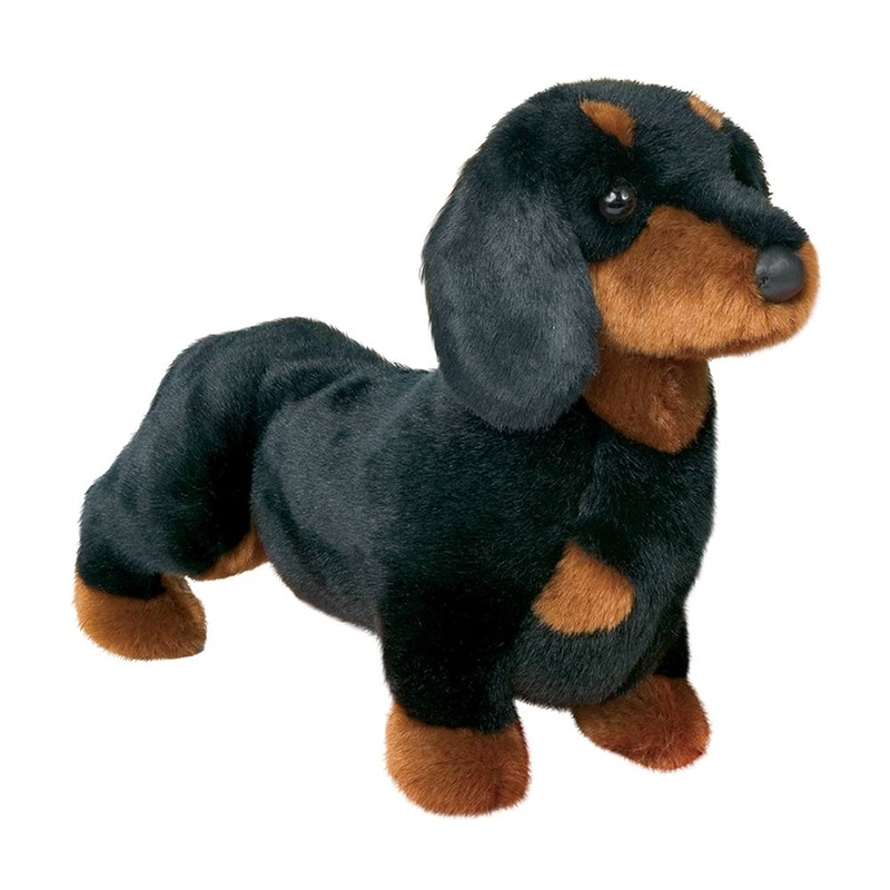Chien Teckel Noir Spat