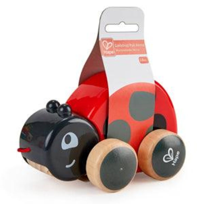 Coccinelle  Promener