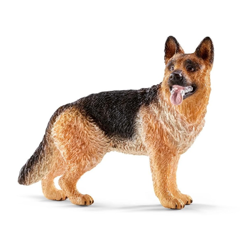 Berger allemand