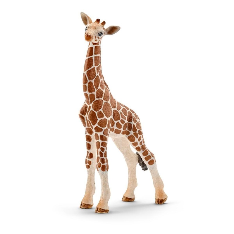 Girafe  bb