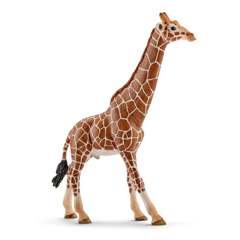 Girafe mle