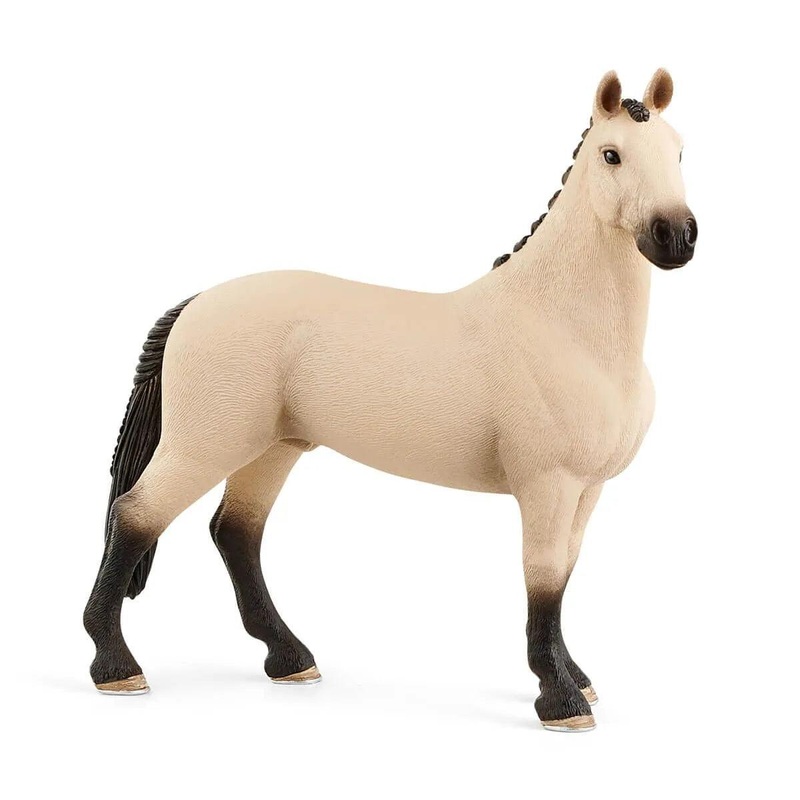 Hongre Hanovre aubre