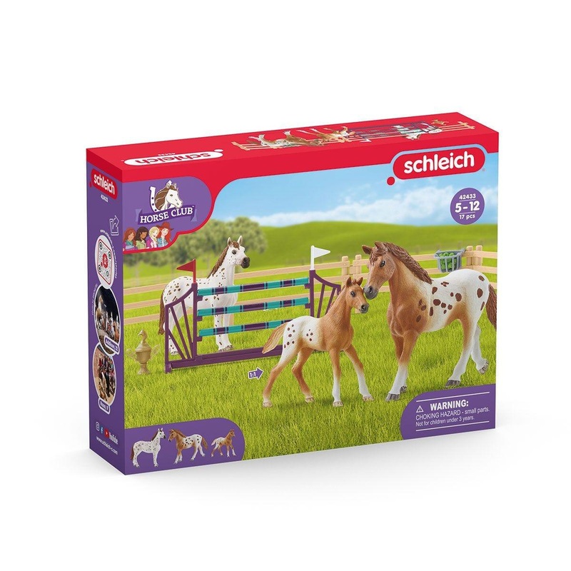 Lentranement au concours - Horse Club