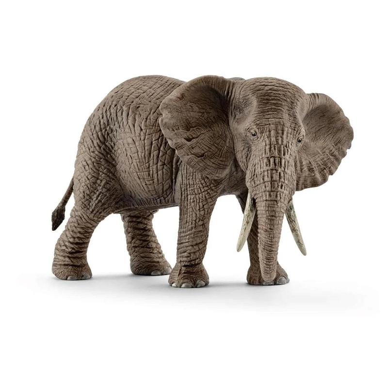lphant d'Afrique  femelle