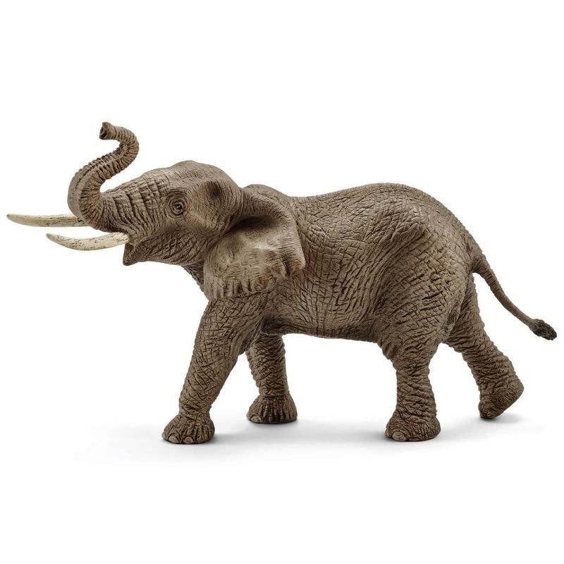 lphant d'Afrique  mle