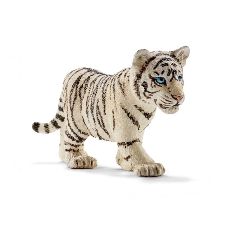 Tigre blanc  bb