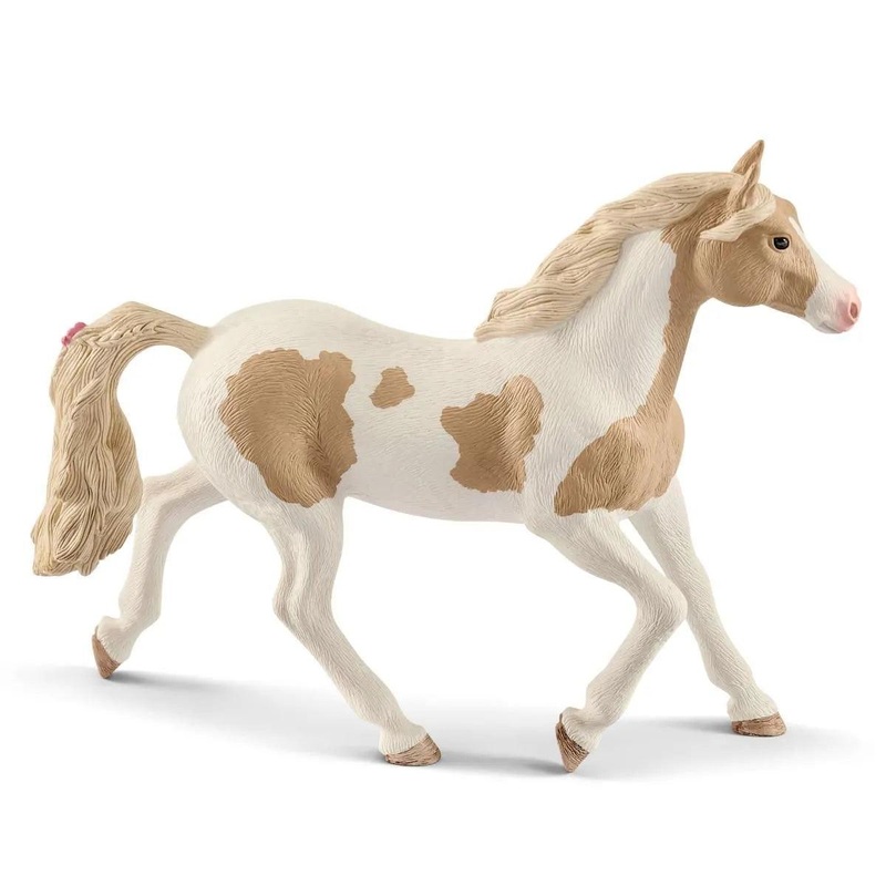 Jument Paint Horse
