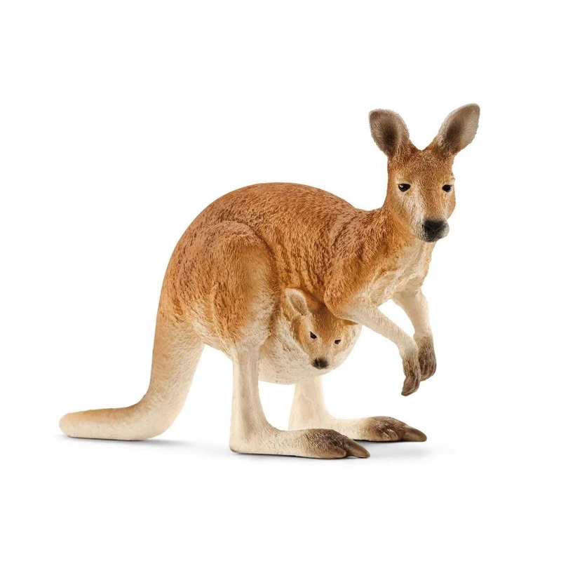 Kangourou