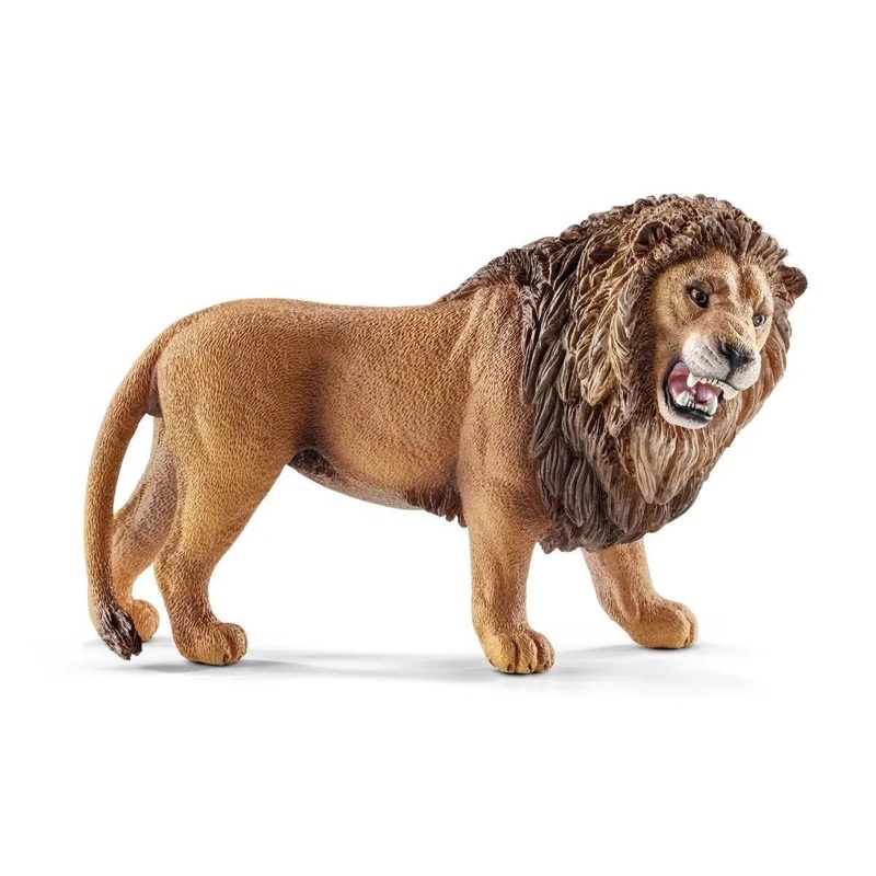 Lion rugissant