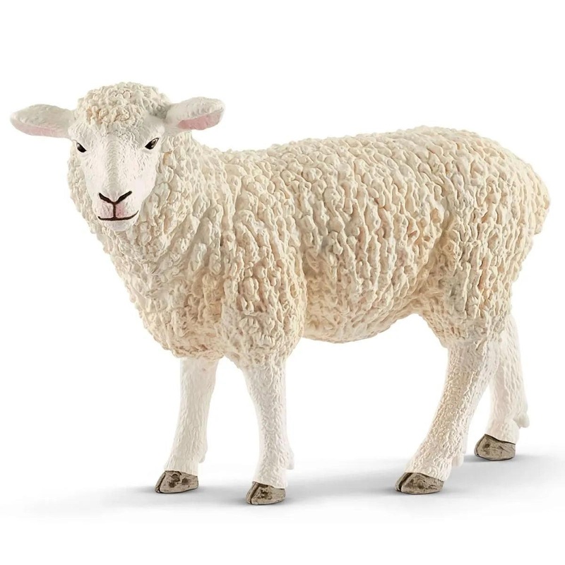 Mouton