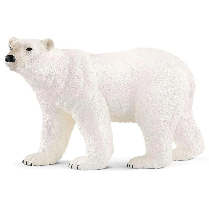 Ours Polaire