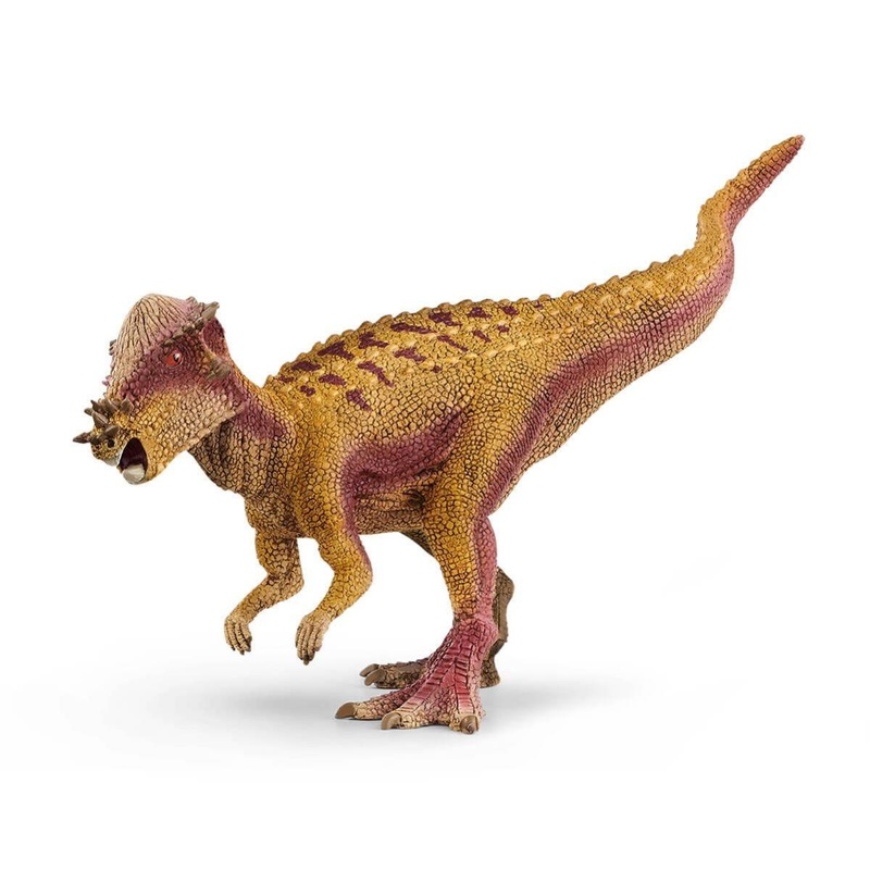 Pachycphalosaure - Dinosaure