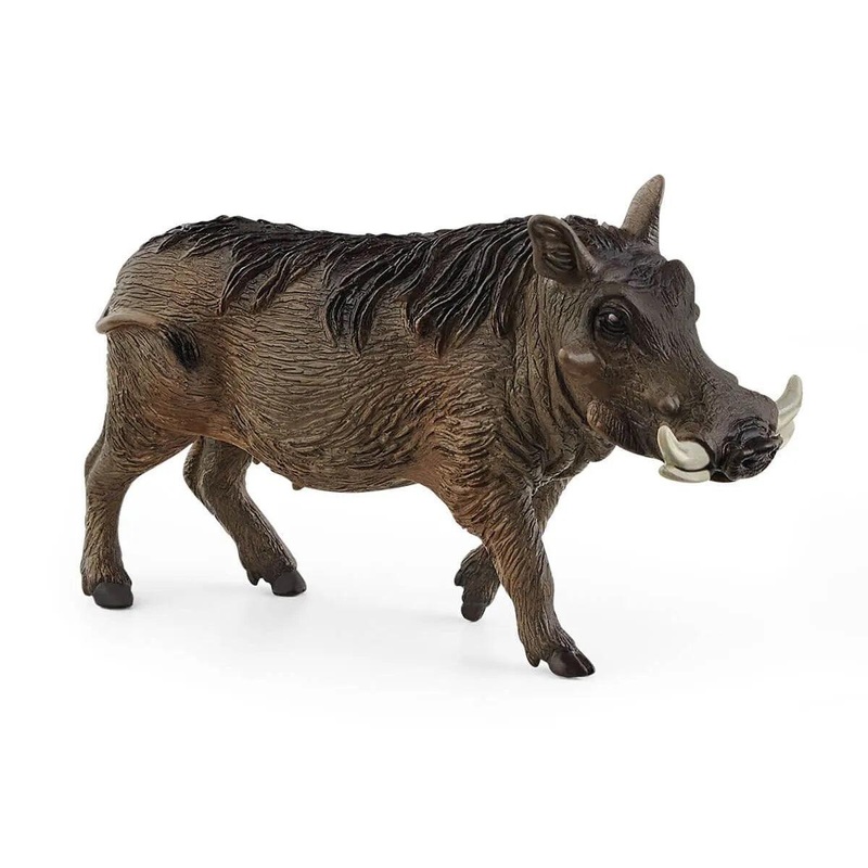 Phacochre