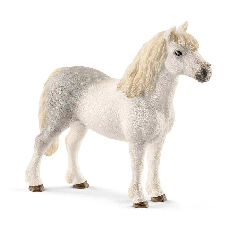 Poney gallois mle