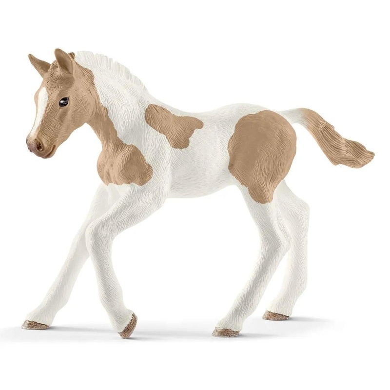 Poulain Paint Horse