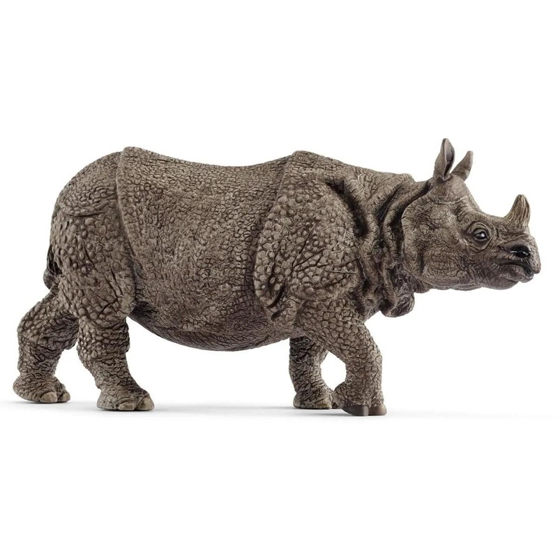 Rhinocros indien