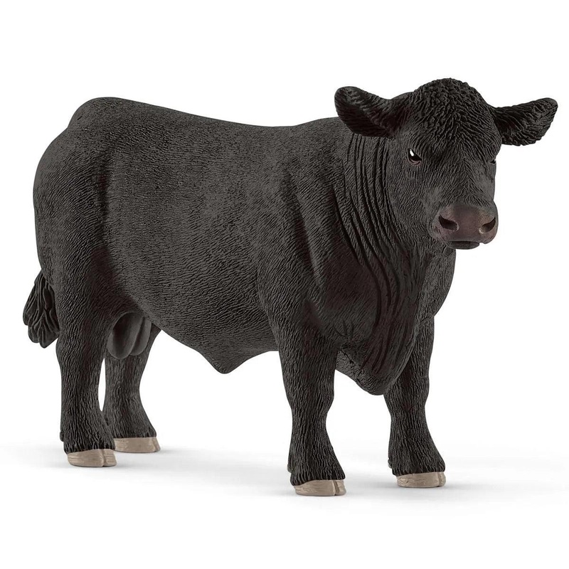 Taureau Angus
