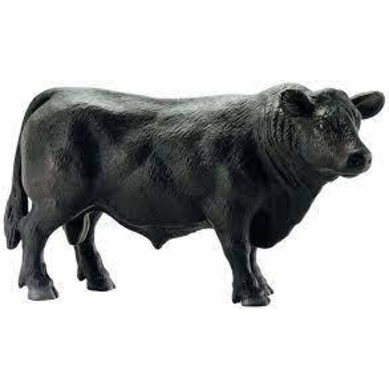 Taureau Angus noir