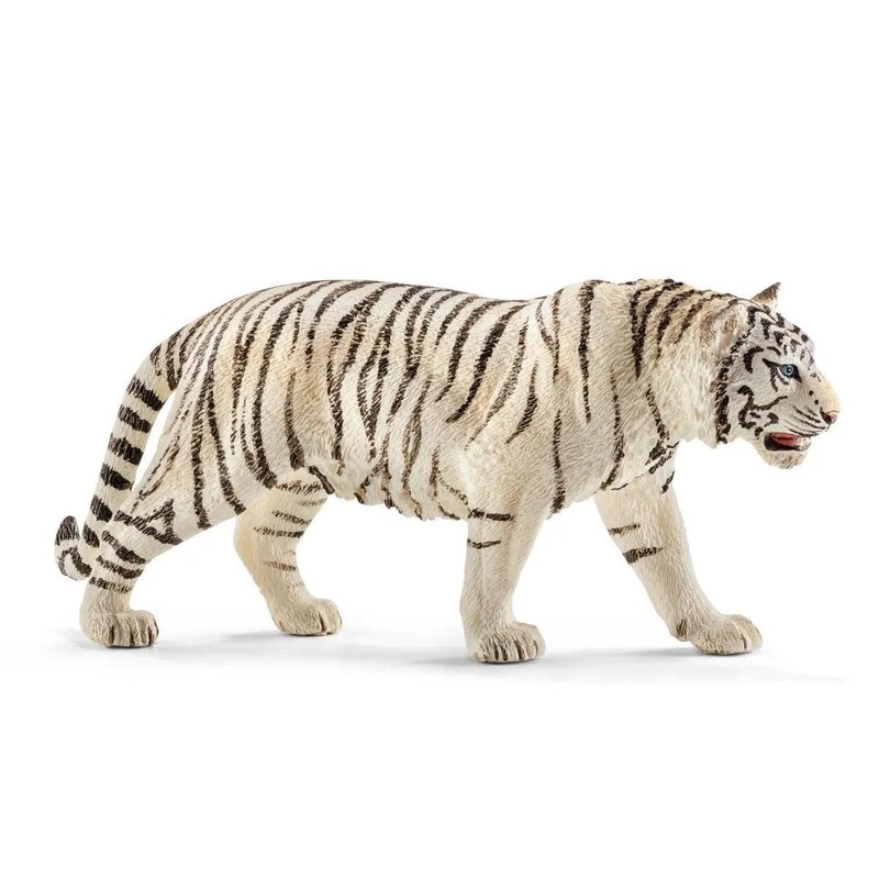 Tigre blanc mle