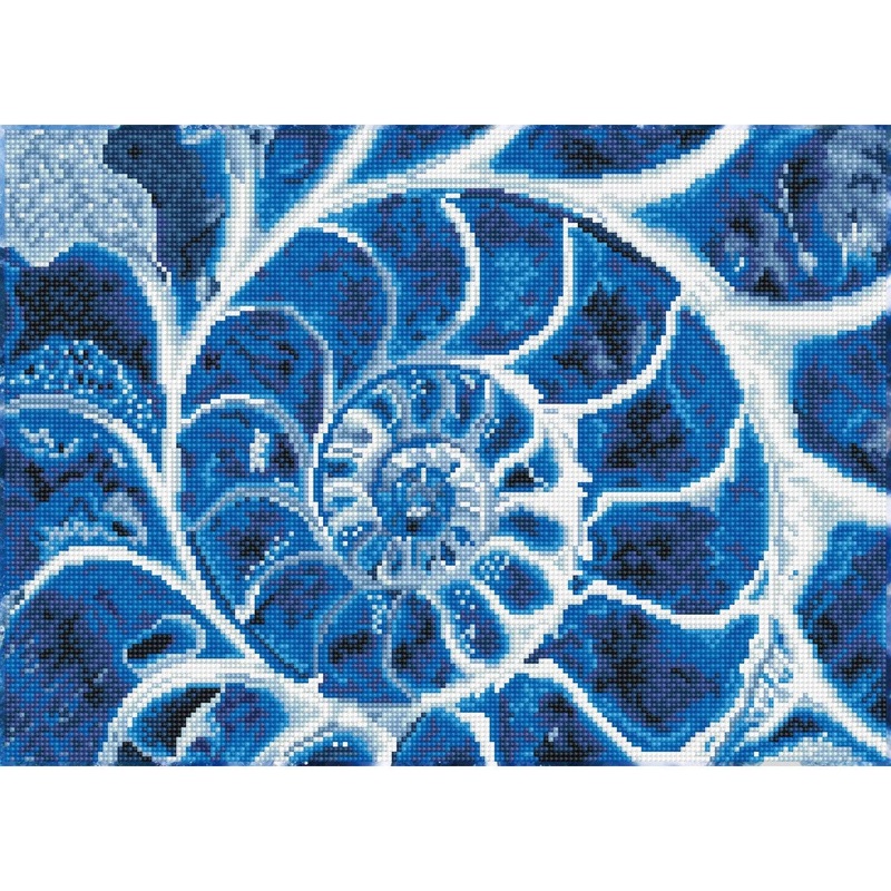 Blue Nautilus - Intermdiaire
