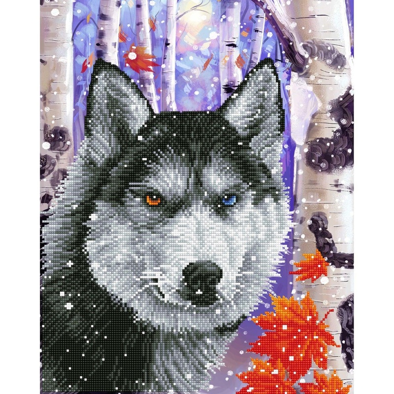 Forest Wolf - Intermdiaire