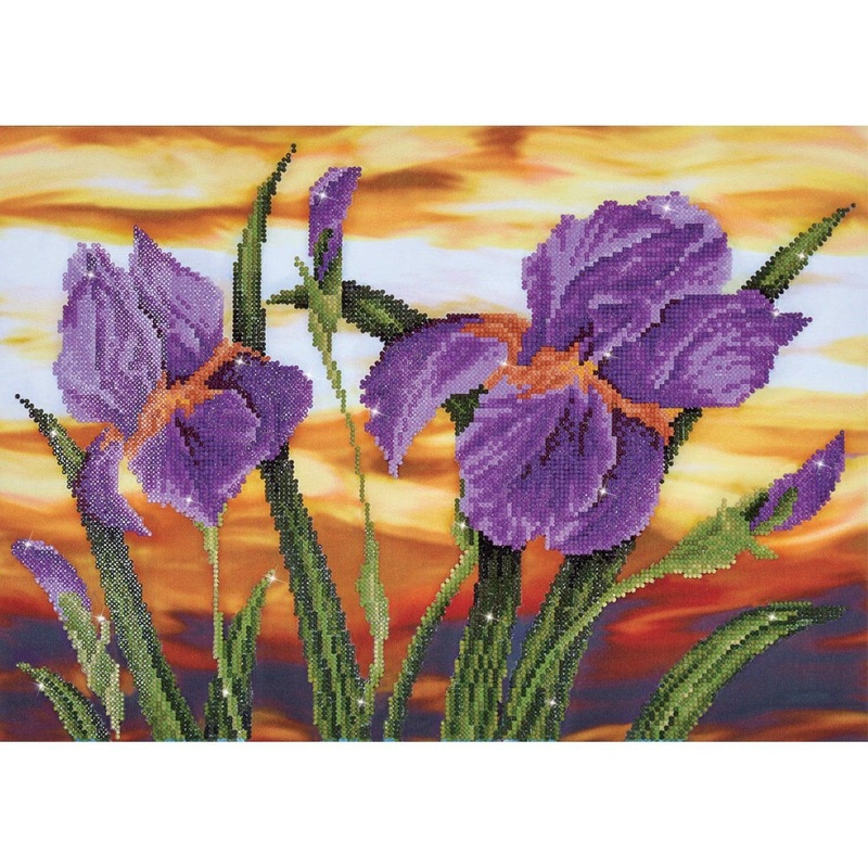Iris Sunset - Intermdiaire