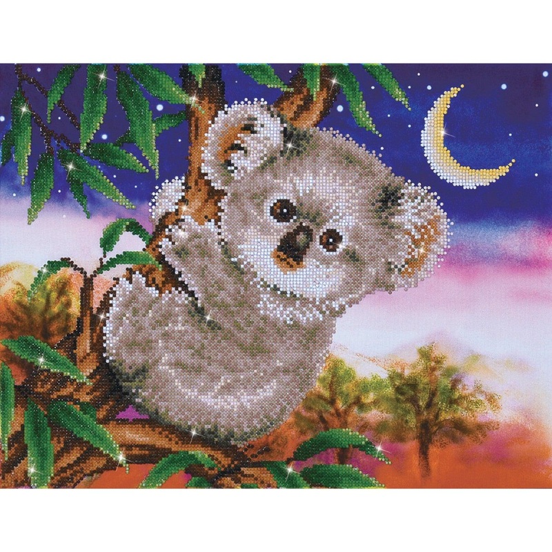 Koala Snack - Intermdiaire