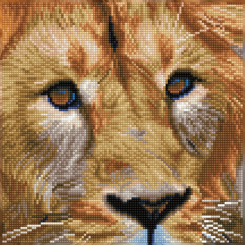 Lion Serengeti - Intermdiaire