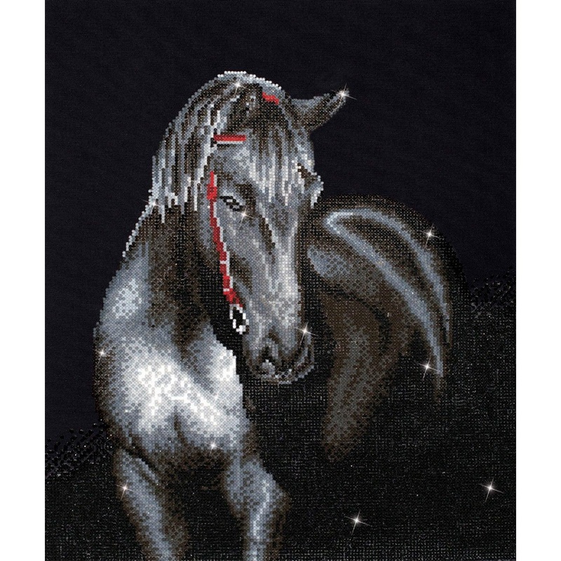 Midnight Stallion - Intermdiaire