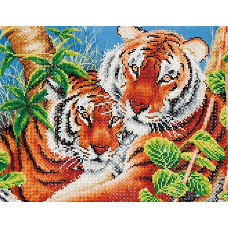 Tender Tigers - Intermdiaire