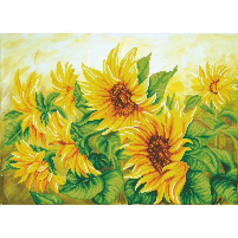 Tournesols - Intermdiaire