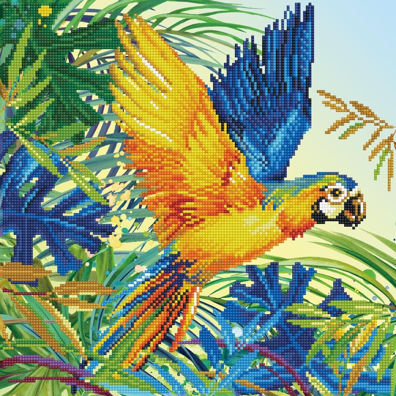 Tropical Majesty - Intermdiaire