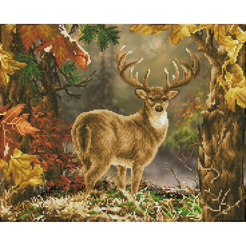 Prince of the Forest - Intermdiaire