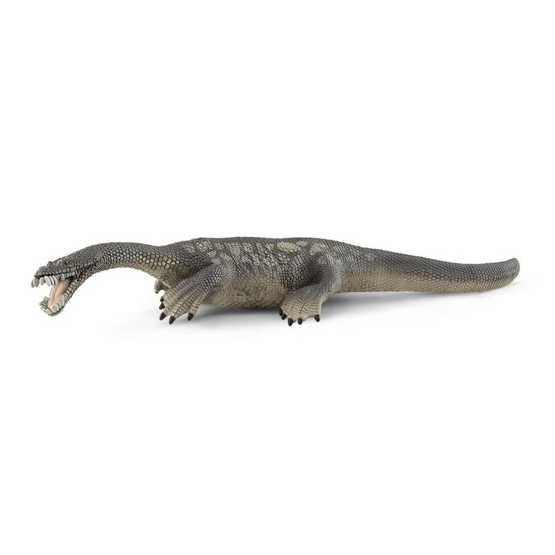 Nothosaurus - Dinosaure