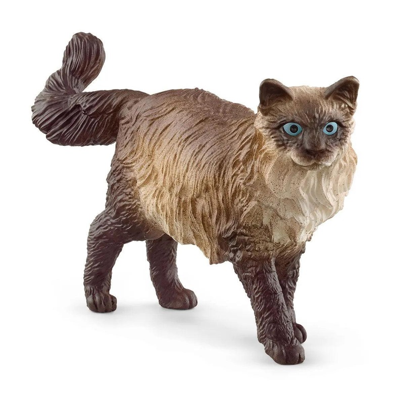 Chat Ragdoll