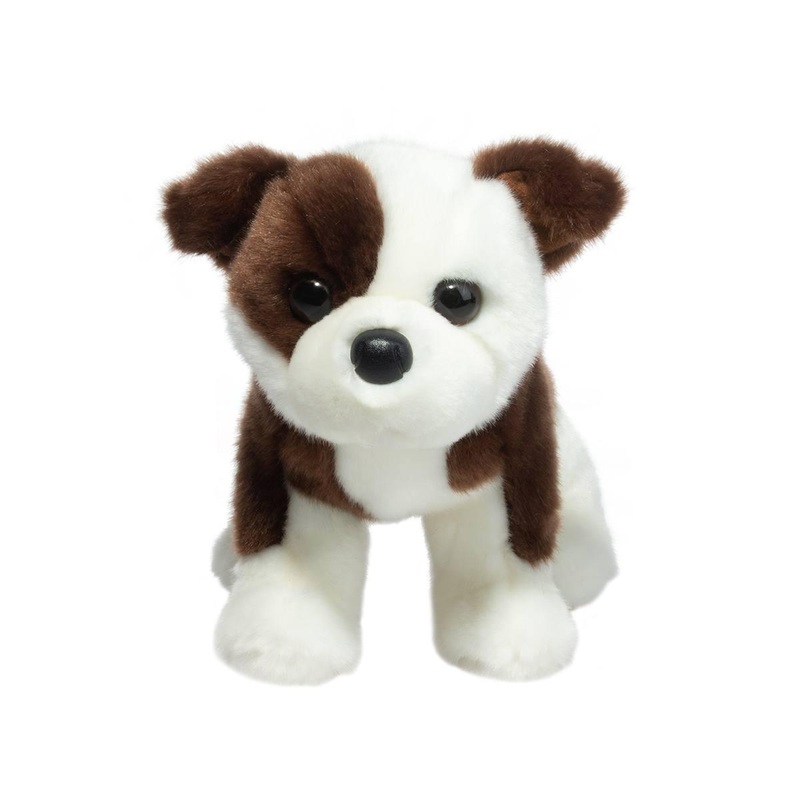 Chien Bulldog Clive
