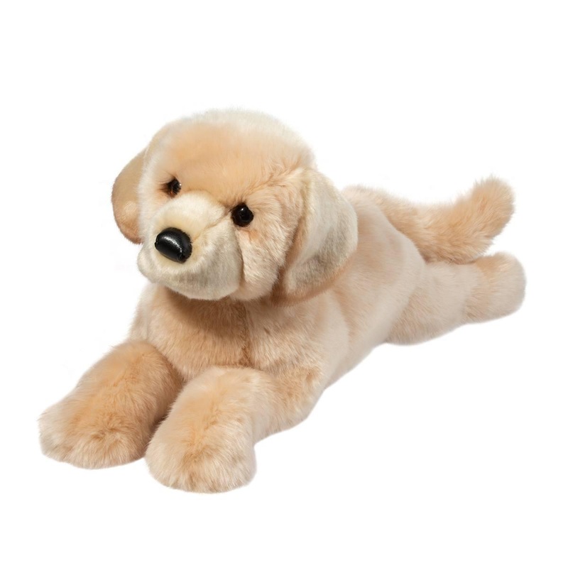 Chien Labrador Jaune Lettie
