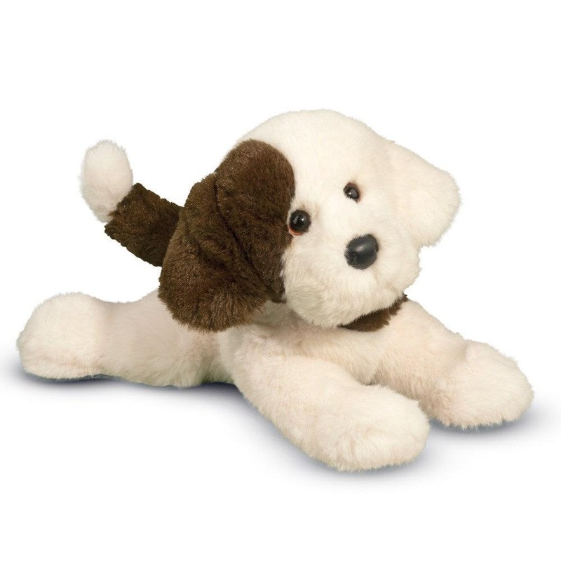 Chiot Donnie