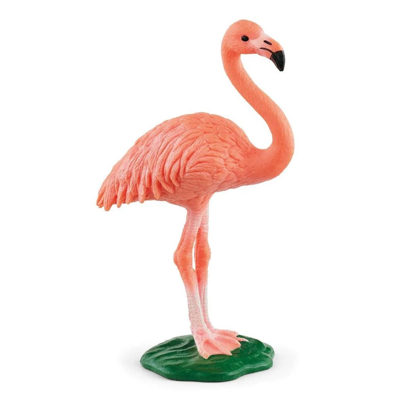 Flamant rose