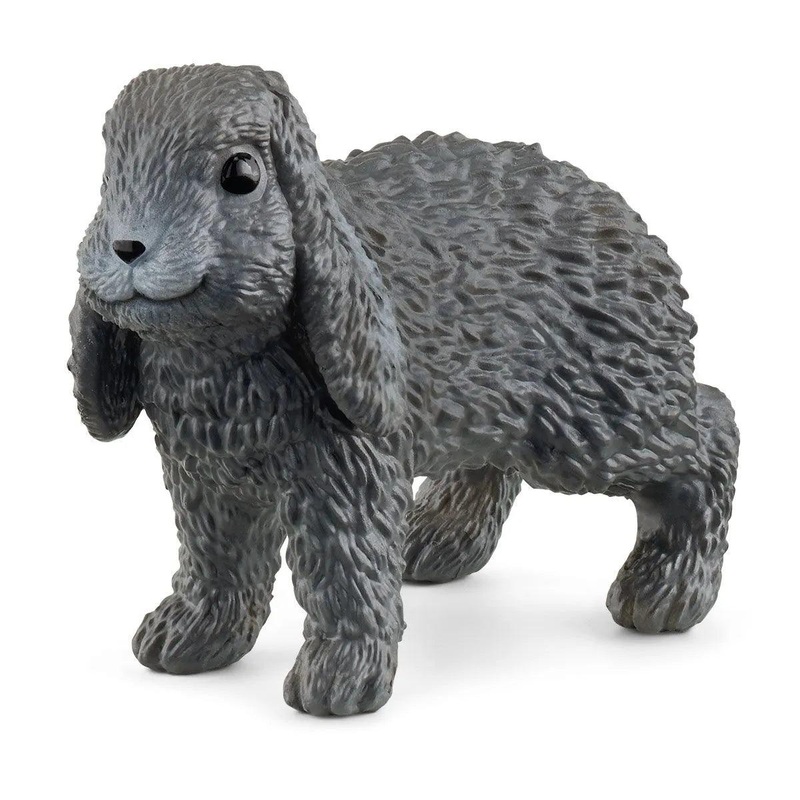 Lapin blier