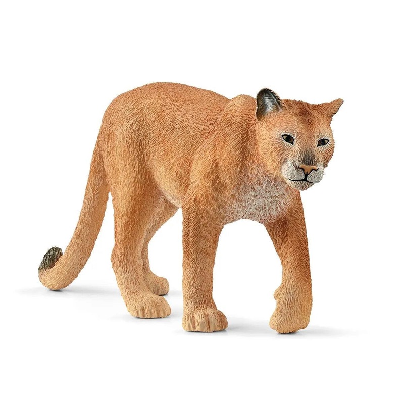 Puma (Cougar)