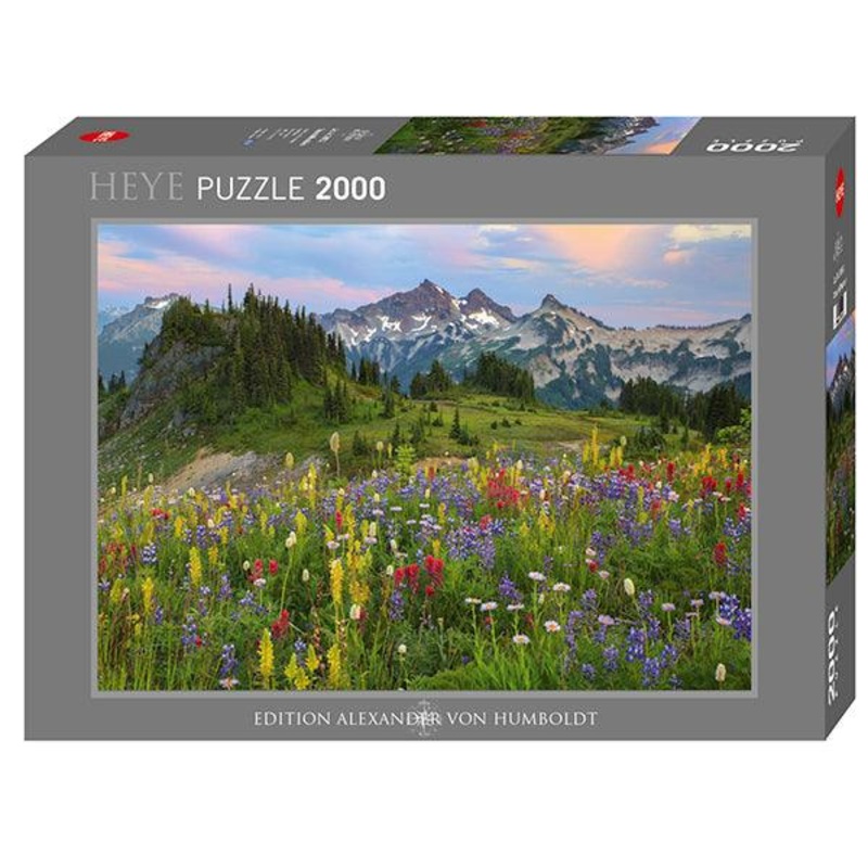 Tatoosh Mountains - AVH - 2000 mcx