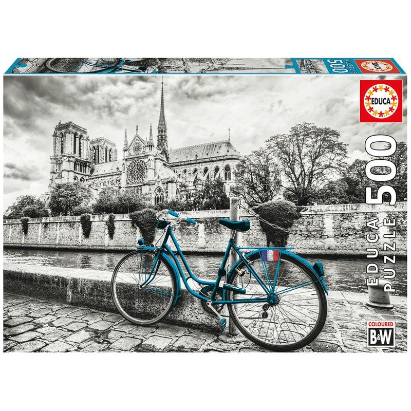 B&W Bicyclette prs de Notre-Dame - 500 mcx