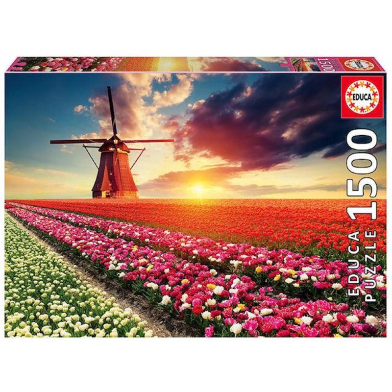 Champs de Tulipes - 1500 mcx