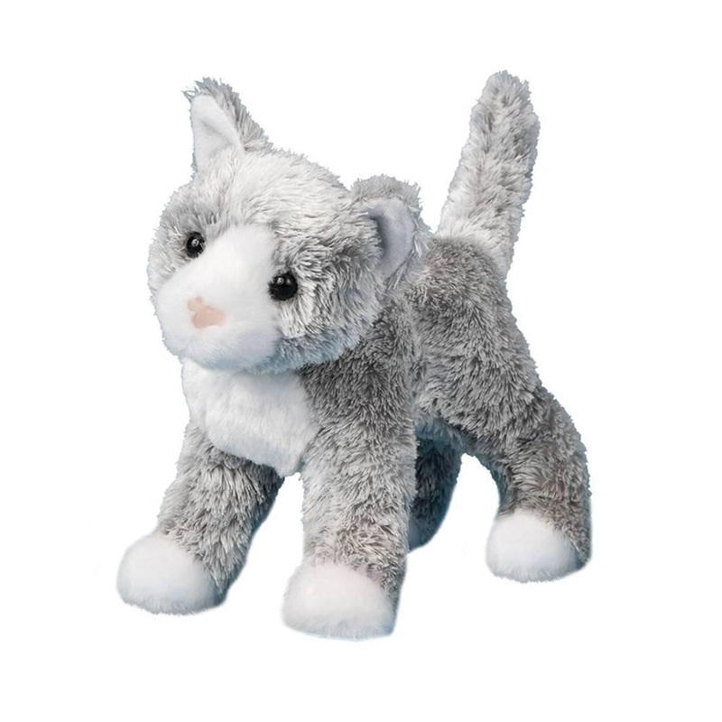 Chat Gris Scatter