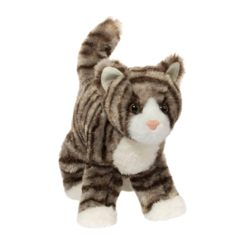 Chat Gris Zigby