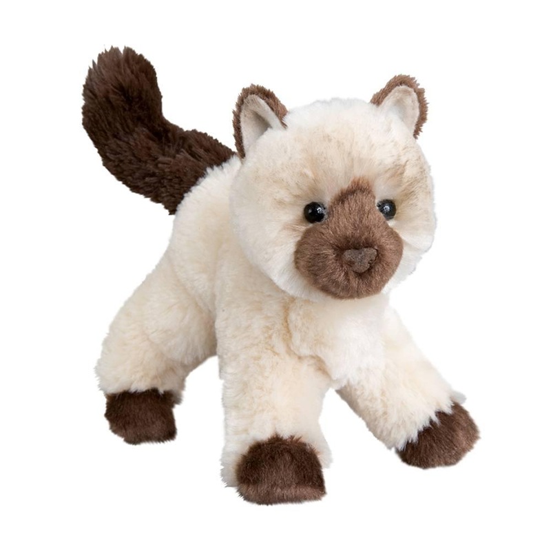 Chat Himalayen Hilda