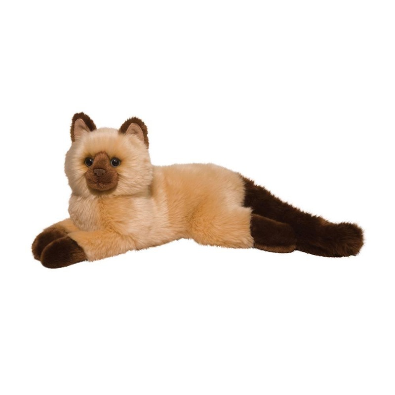 Chat Himalayen Sebastian